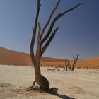 Deadvlei