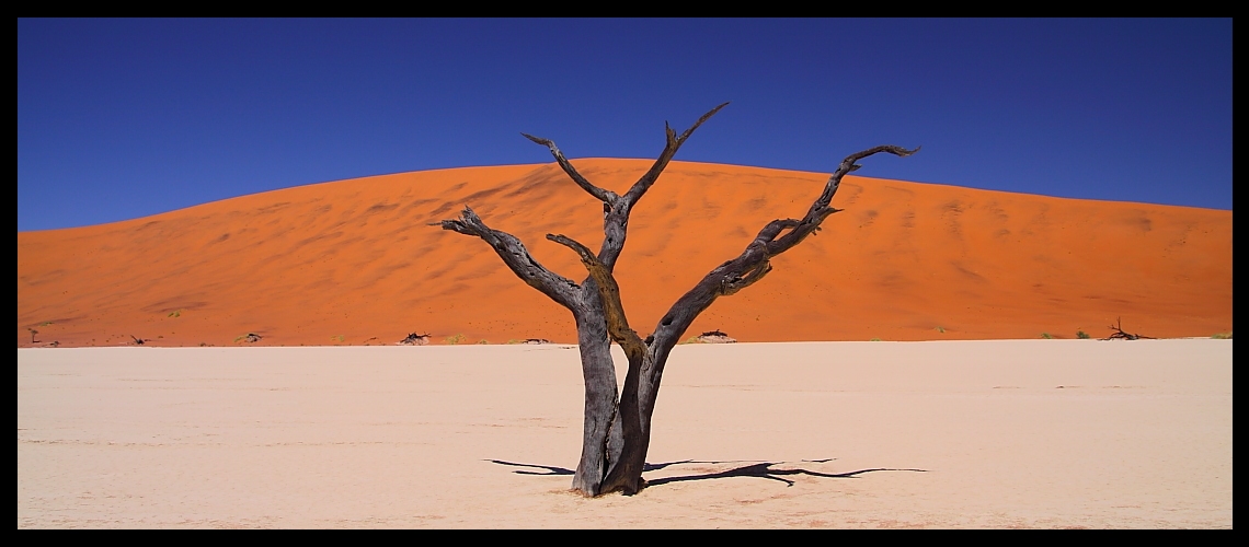 Deadvlei