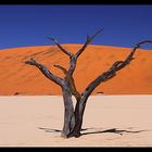 Deadvlei