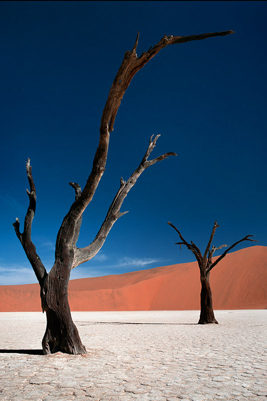 Deadvlei