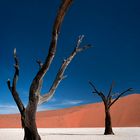 Deadvlei