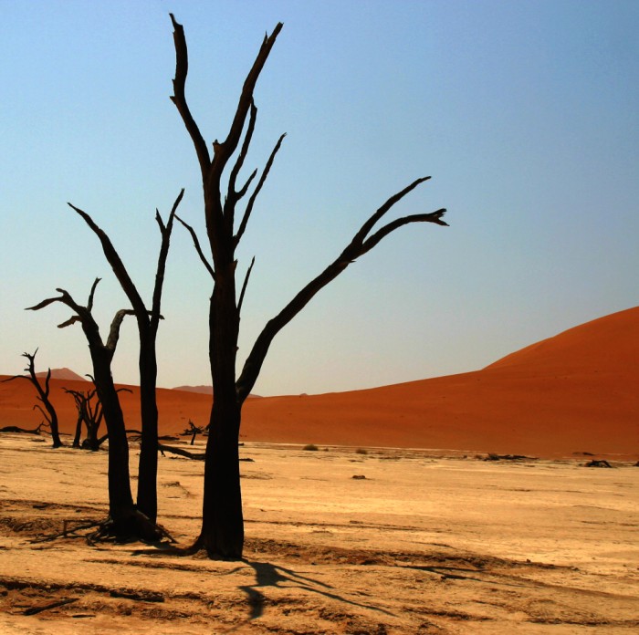 Deadvlei