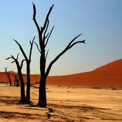 Deadvlei