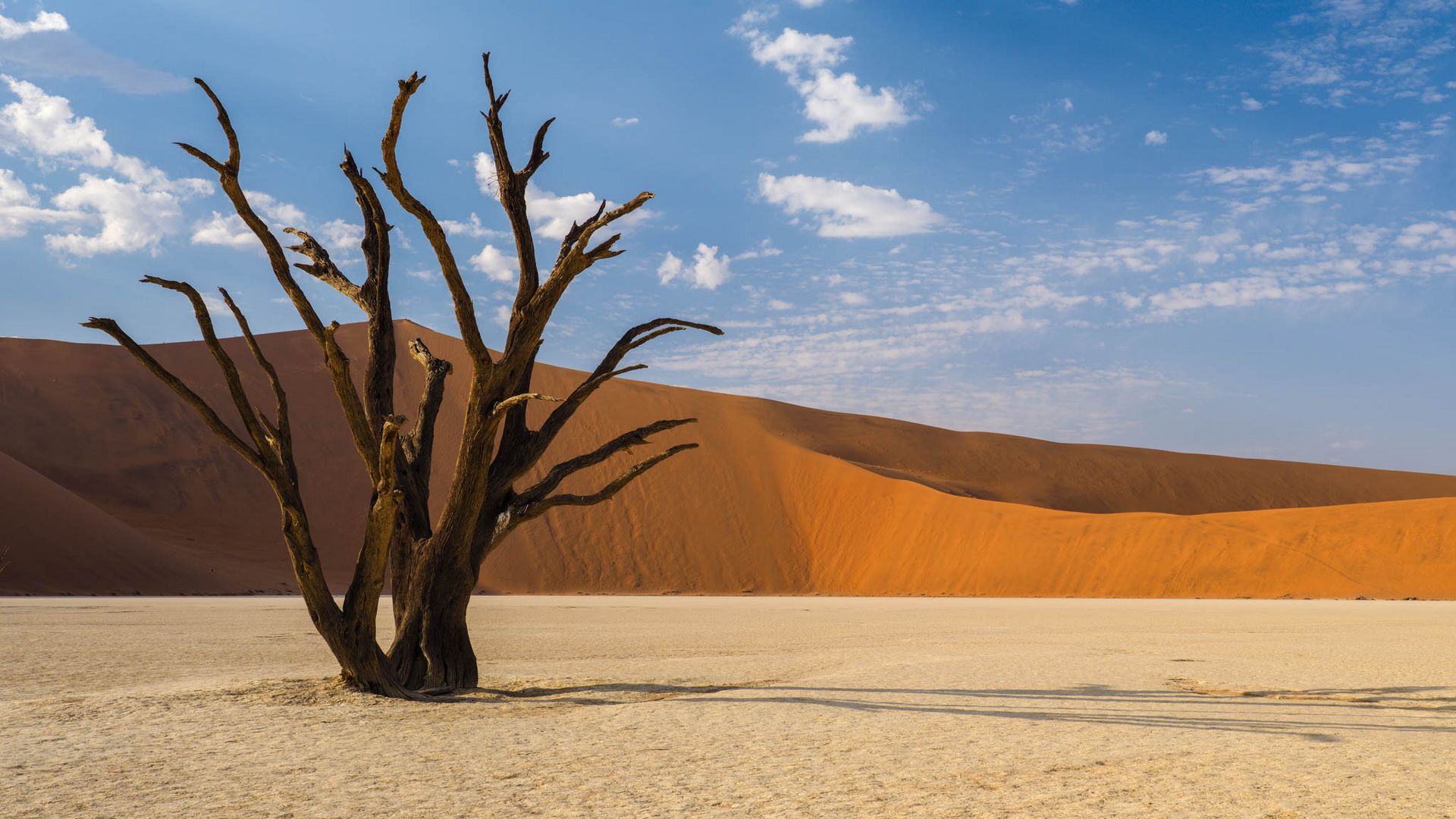 Deadvlei