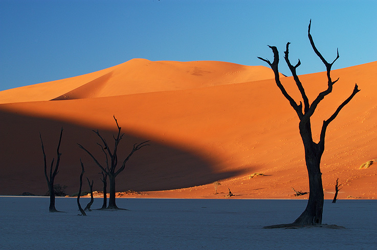 Deadvlei