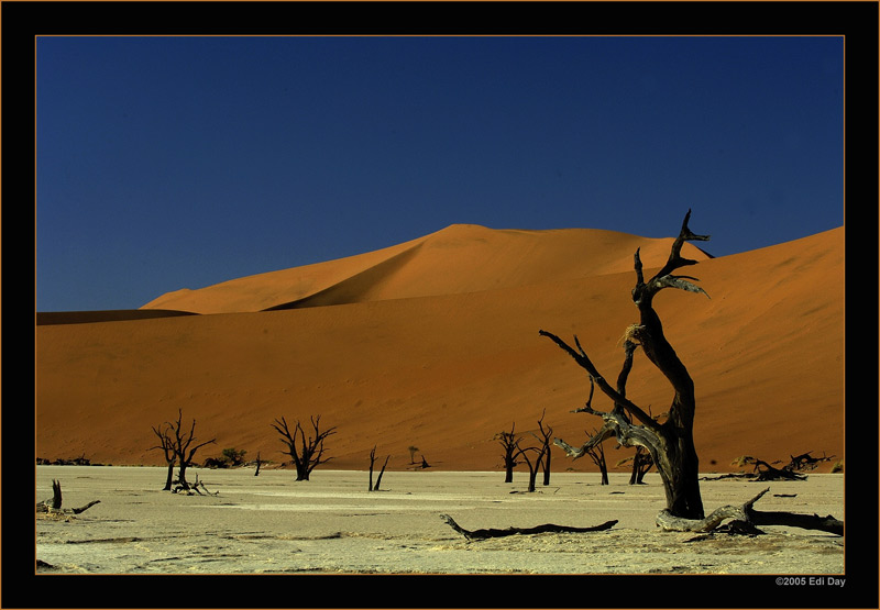 Deadvlei