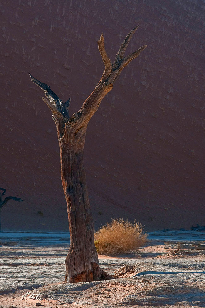 Deadvlei