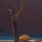 Deadvlei