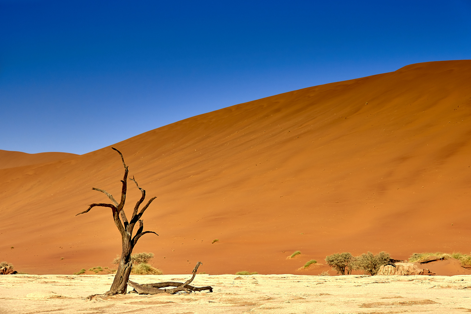 Deadvlei - das Tal der toten Bäume