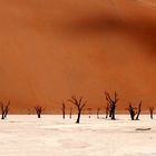 Deadvlei - dead thorn trees