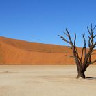 Deadvlei