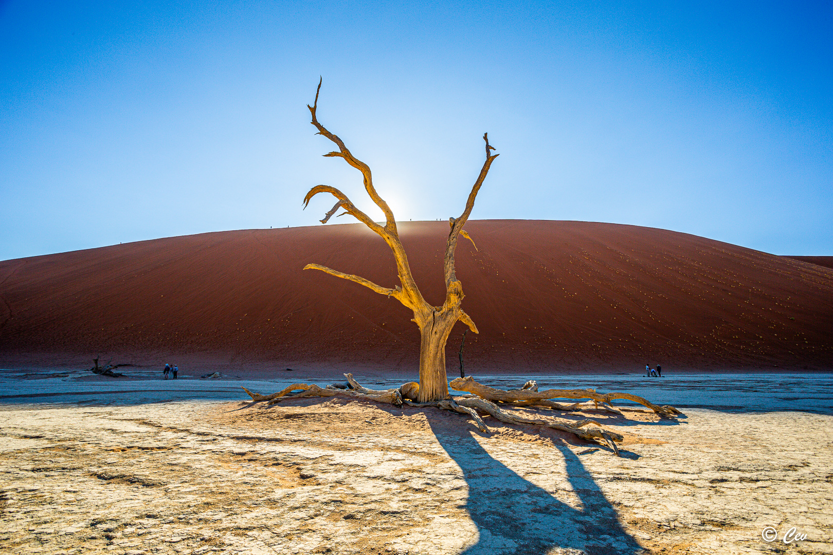 Deadvlei