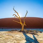 Deadvlei