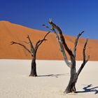 Deadvlei