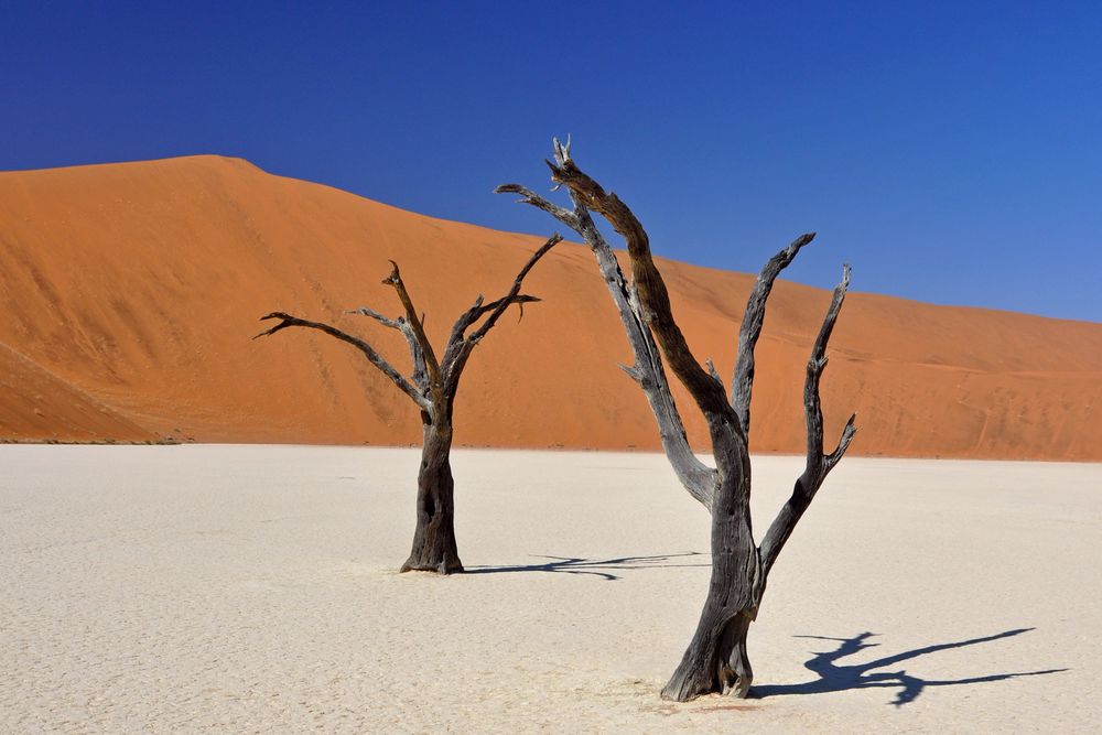 Deadvlei