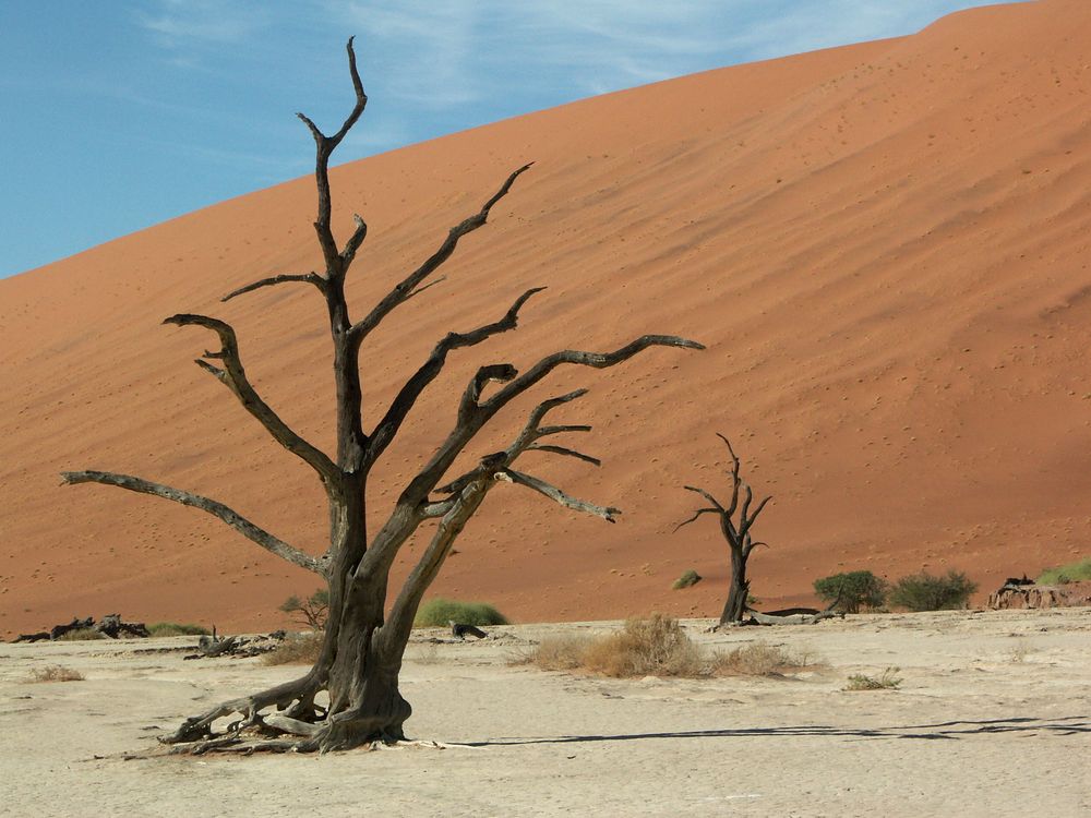 Deadvlei