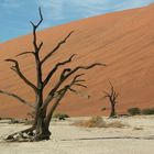 Deadvlei