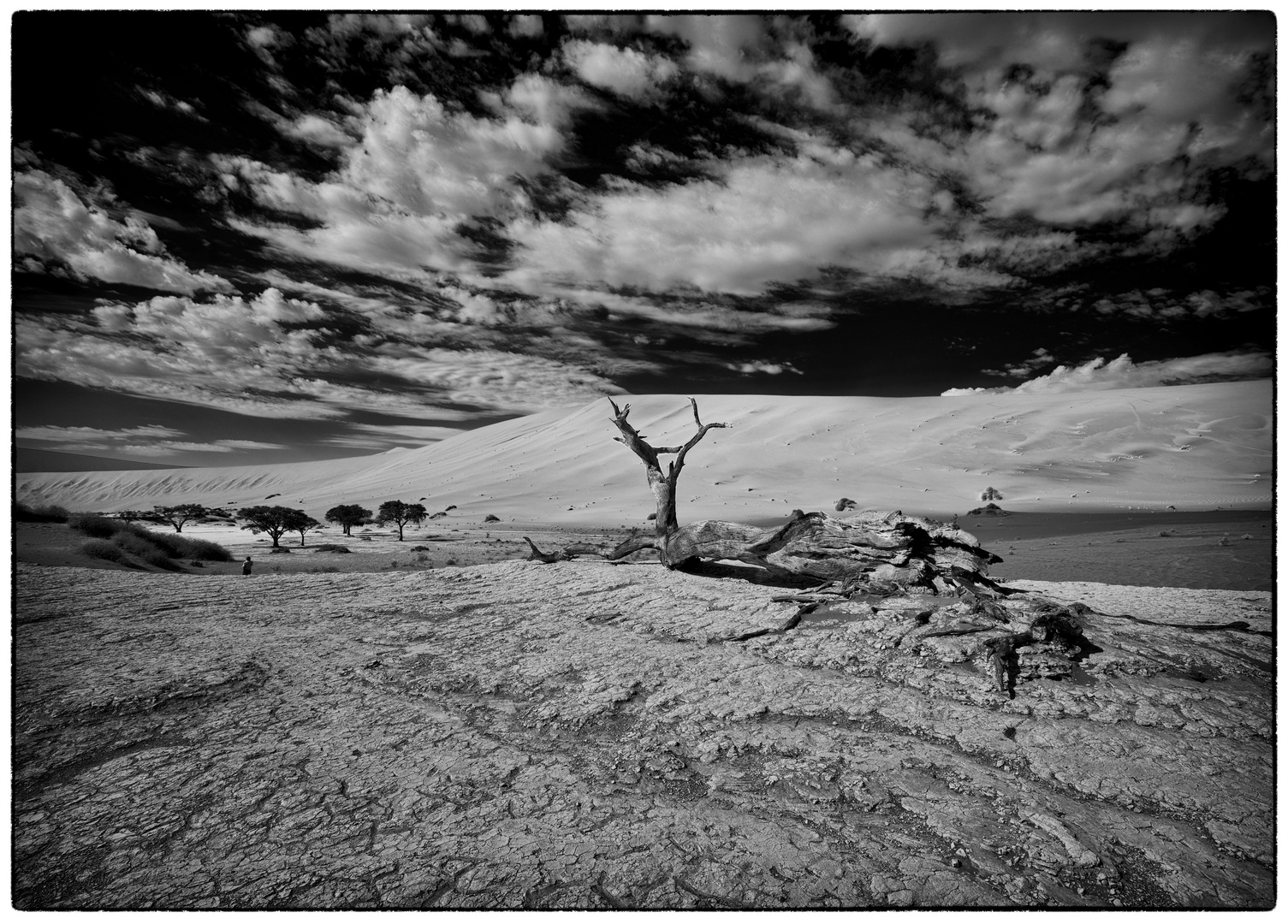 Deadvlei