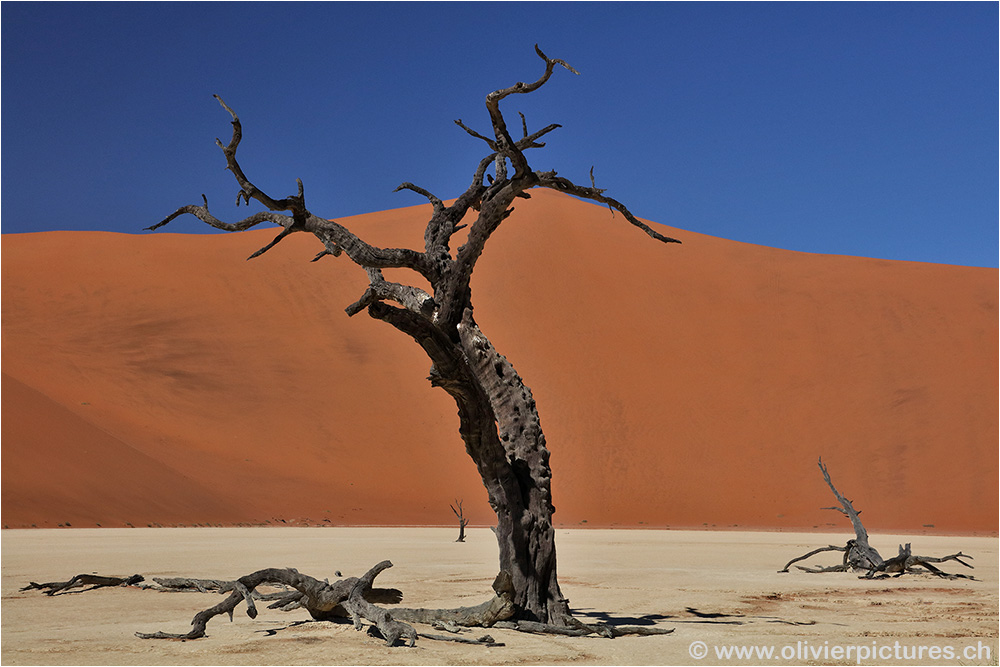 Deadvlei