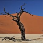 Deadvlei