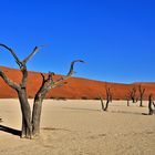 Deadvlei