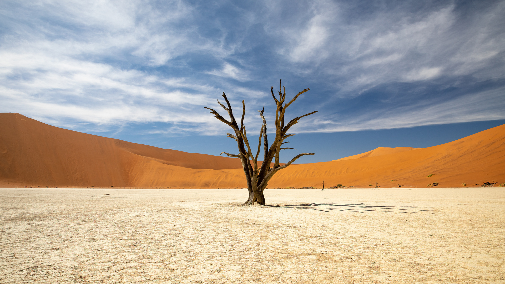 Deadvlei