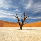 Deadvlei