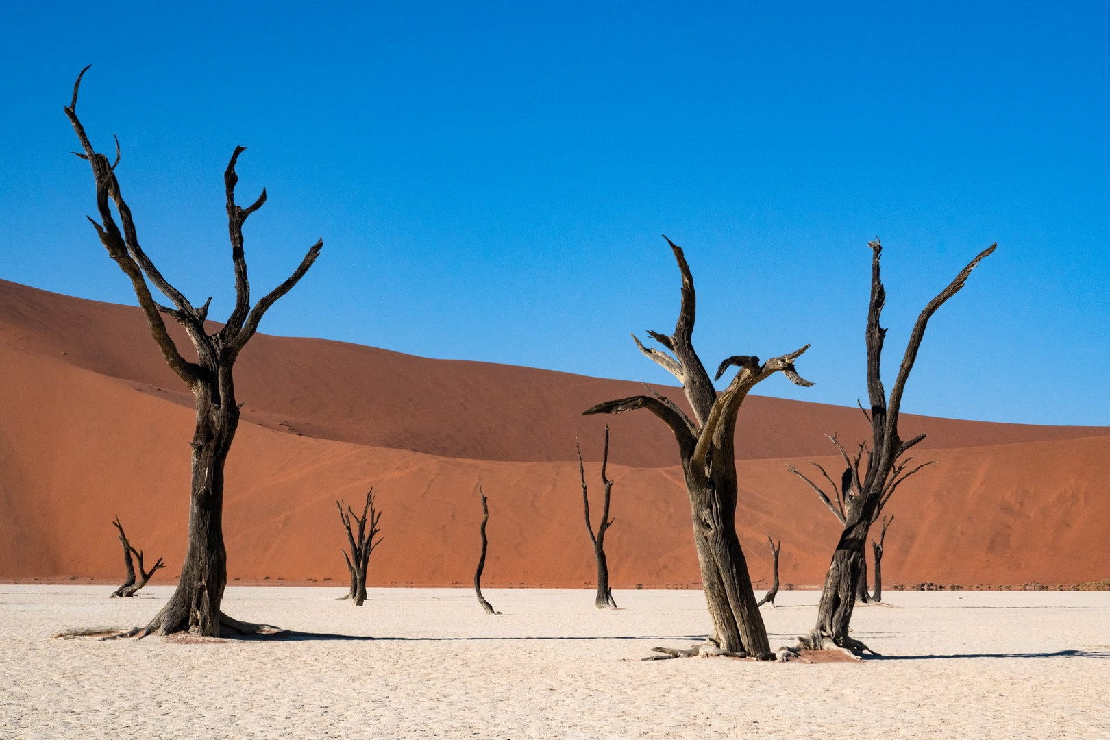 Deadvlei