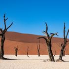 Deadvlei