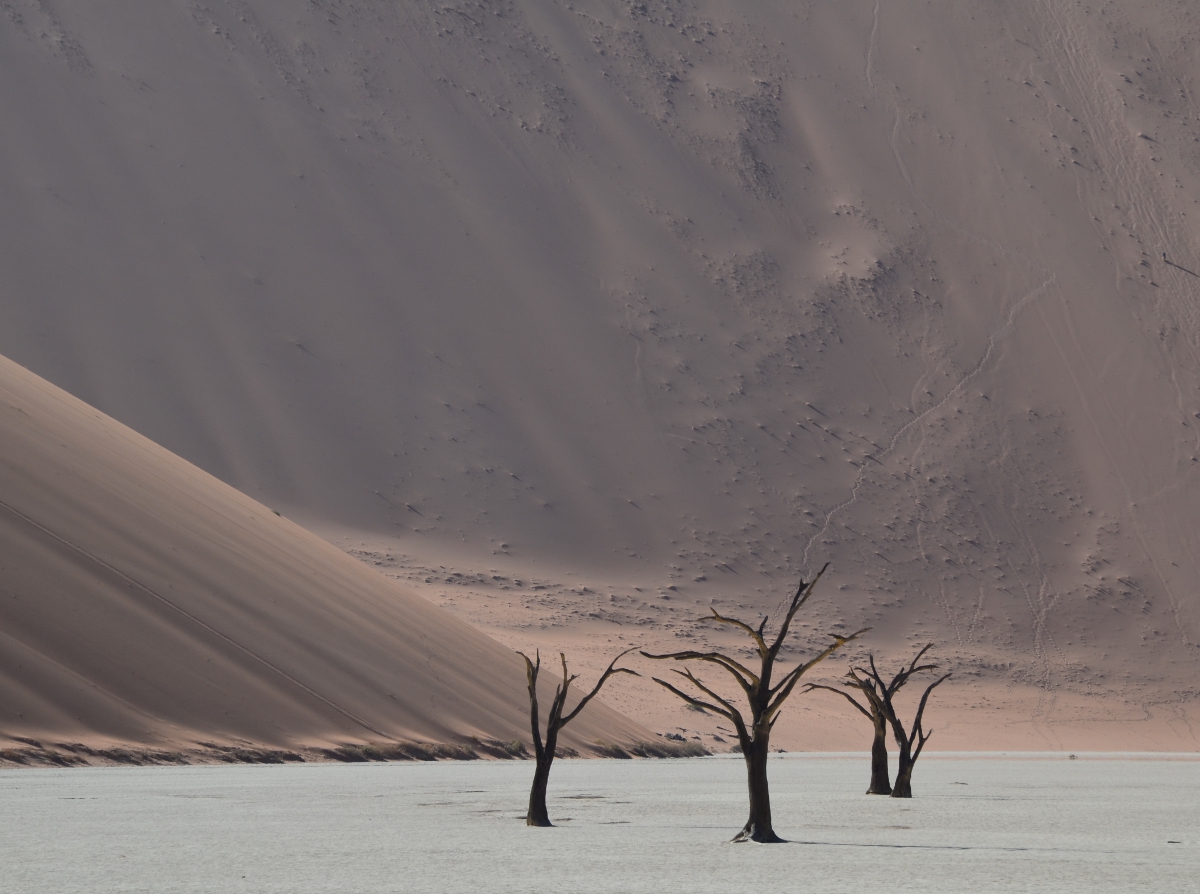 Deadvlei