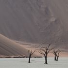 Deadvlei