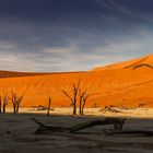 ~ DEADVLEI ~