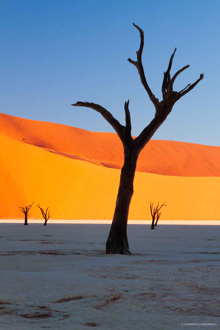 Deadvlei