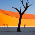 Deadvlei