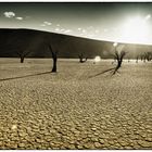 Deadvlei