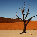 Deadvlei I