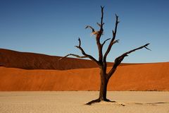 Deadvlei I