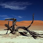 Deadvlei I