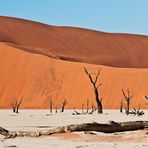 deadvlei II.....