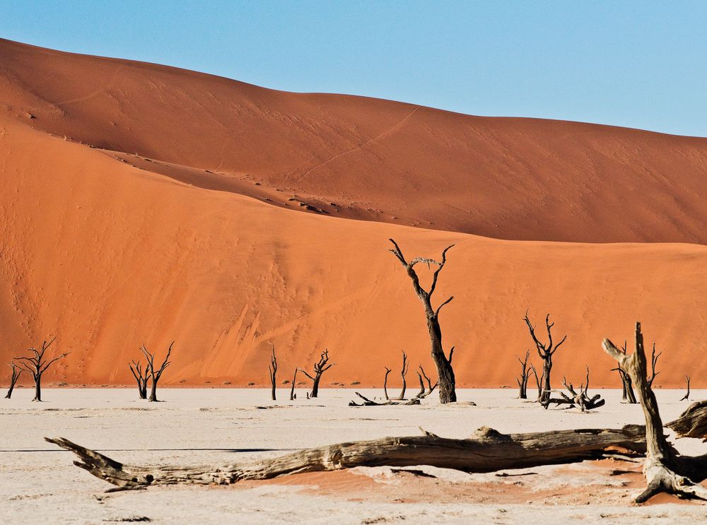 deadvlei II.....