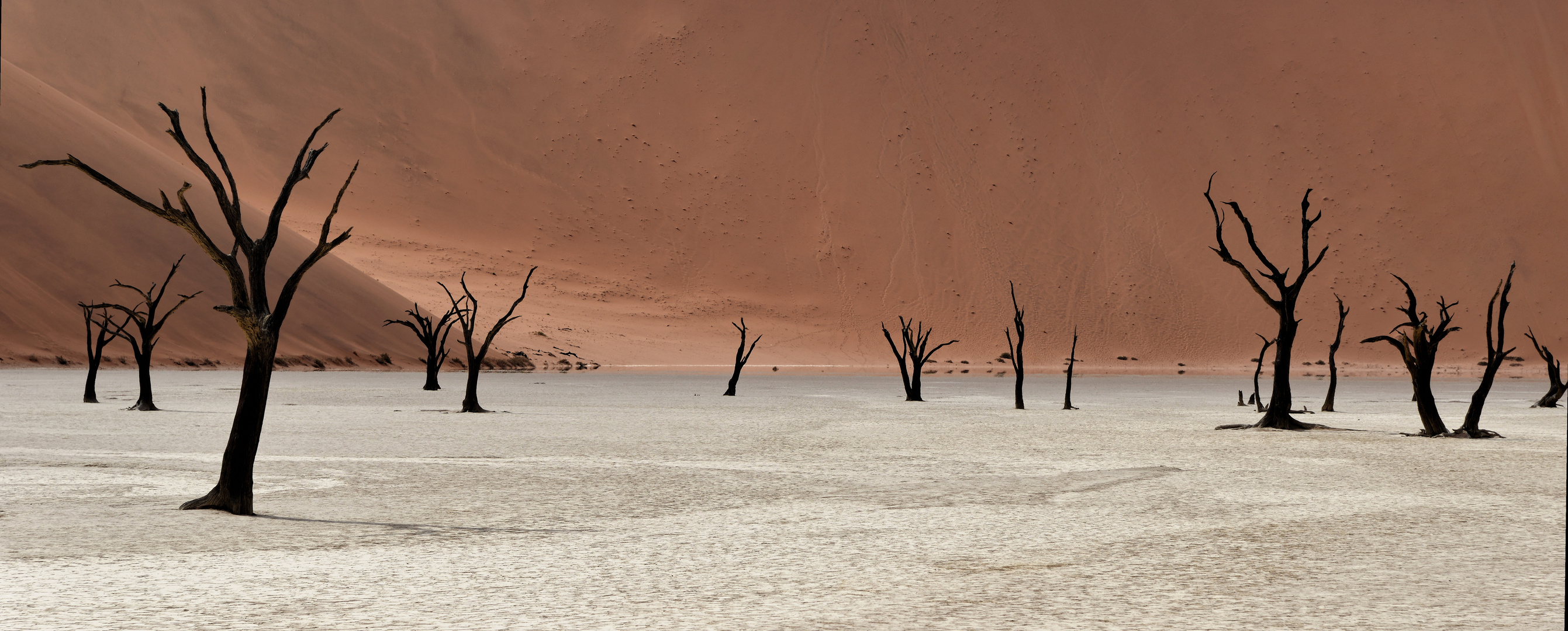 Deadvlei II