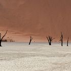 Deadvlei II