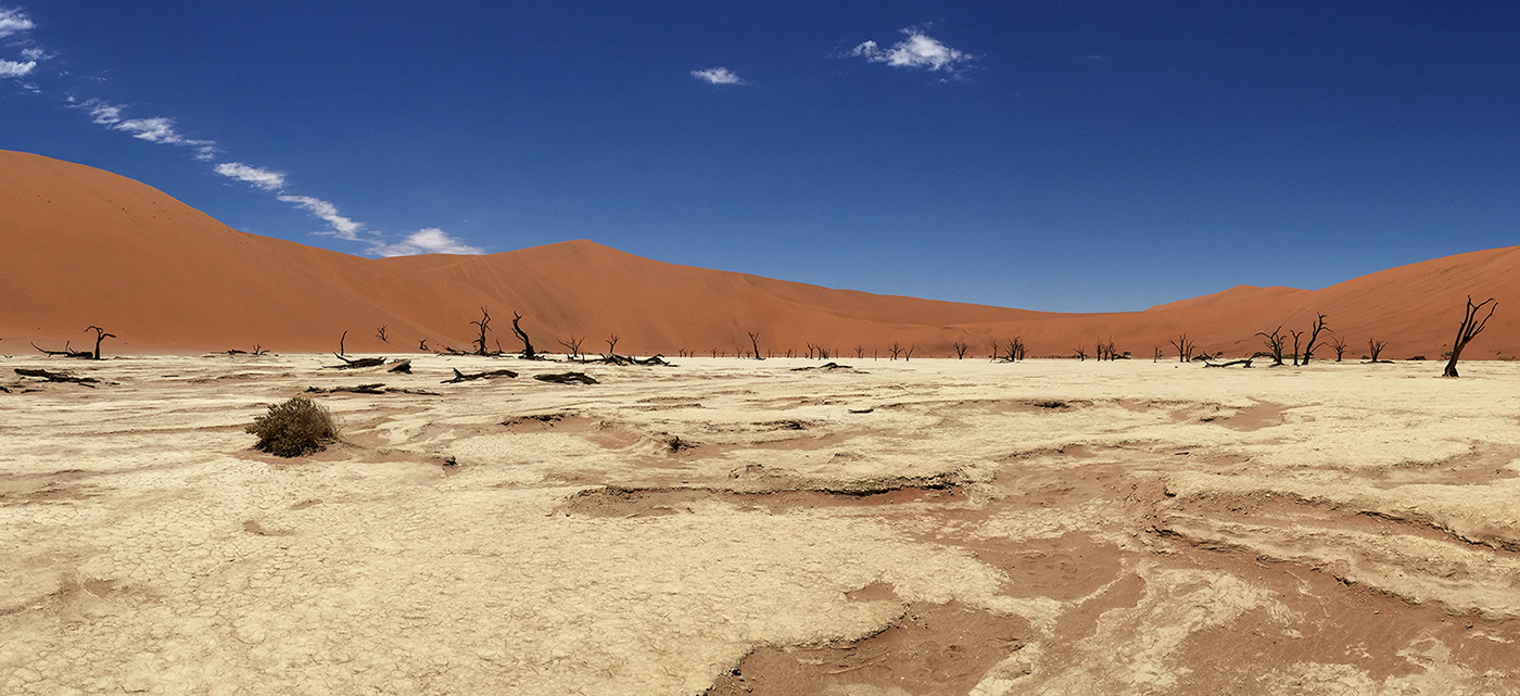 Deadvlei II