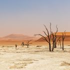 Deadvlei II