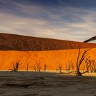 ~ DEADVLEI II ~