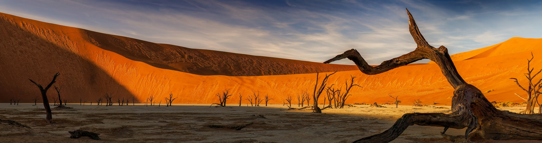 ~ DEADVLEI II ~