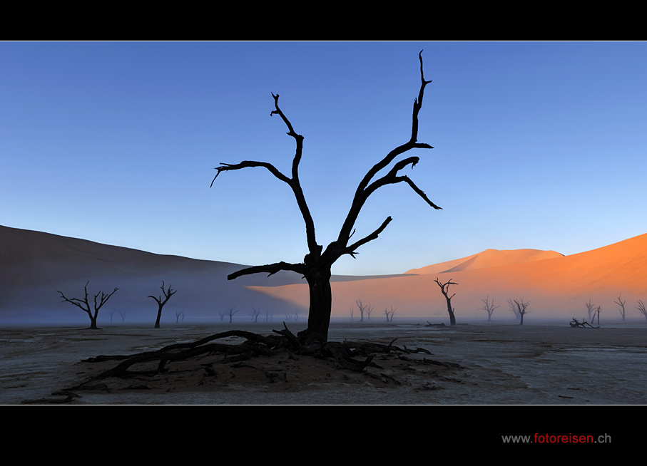 Deadvlei im Nebel II