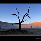 Deadvlei im Nebel II