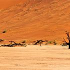 Deadvlei im Panorama/ Namib / 2011