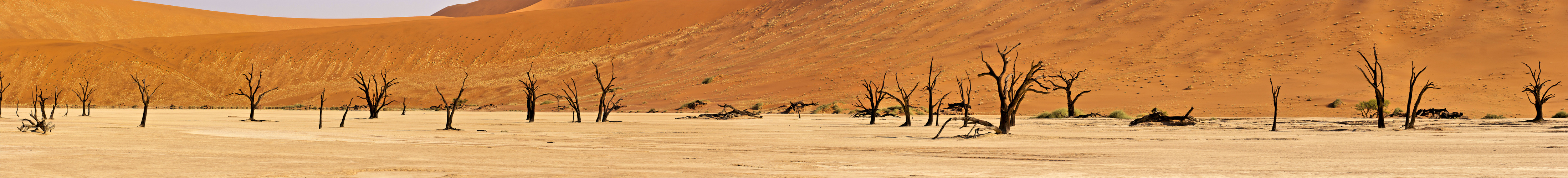 Deadvlei im Panorama/ Namib / 2011
